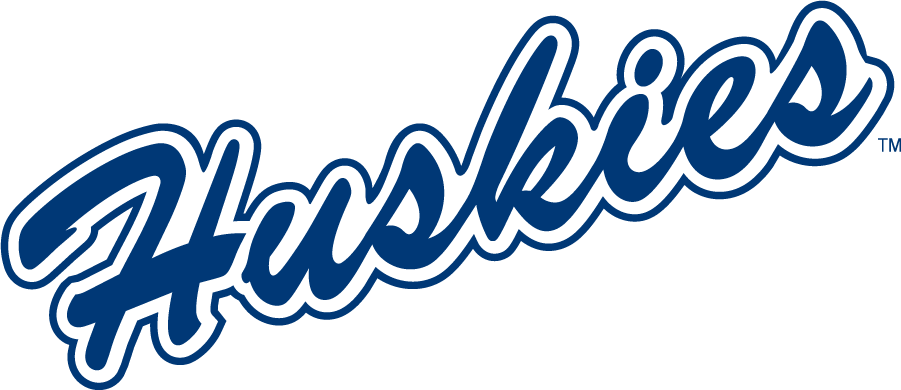 UConn Huskies 1981-2002 Wordmark Logo iron on transfers for T-shirts